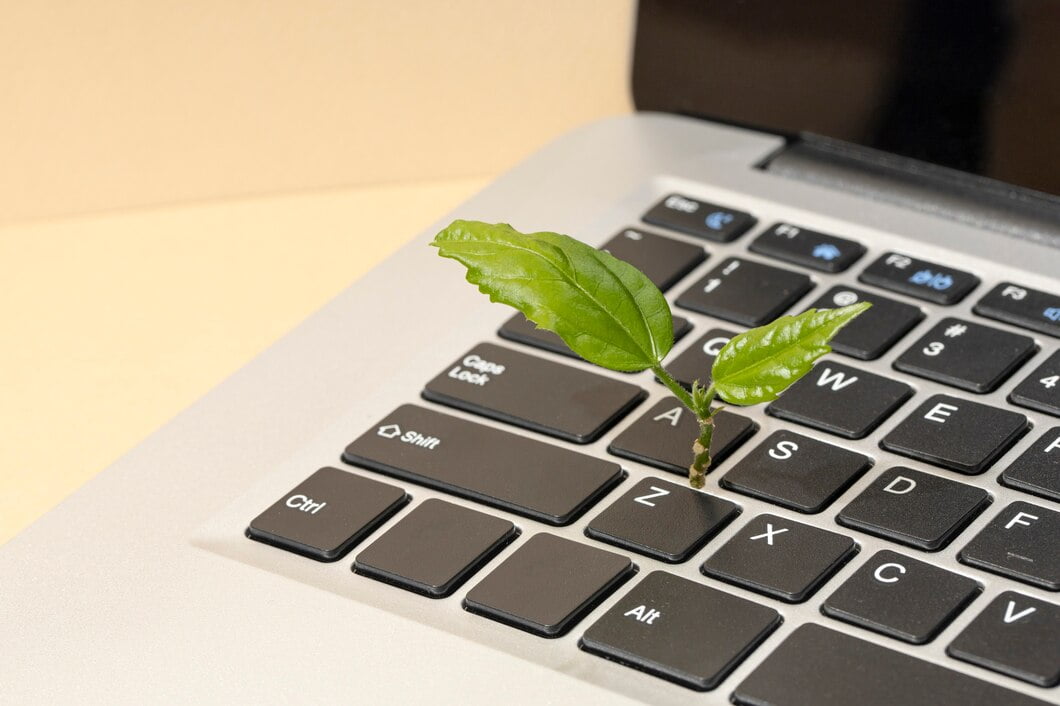Vista superior de uma planta crescendo em um laptop
