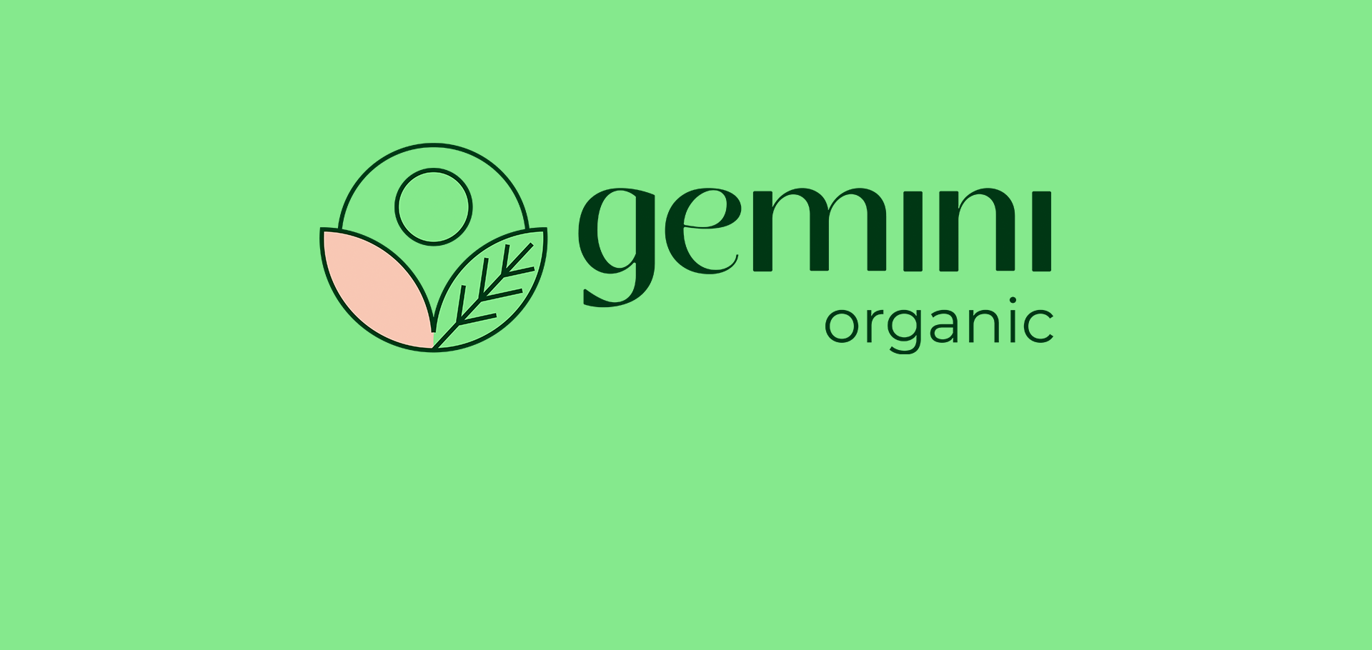 Gemini 5 Agência de Marketing e Publicidade - CMLO