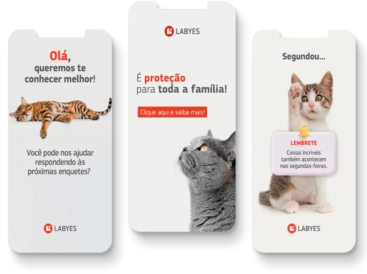 Labyes 13 Agência de Marketing e Publicidade - CMLO