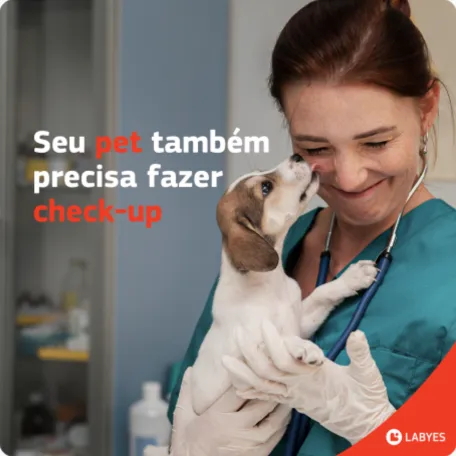 Labyes 8 Agência de Marketing e Publicidade - CMLO