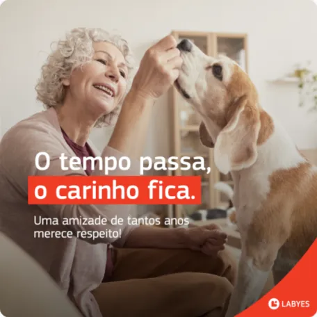 Labyes 4 Agência de Marketing e Publicidade - CMLO