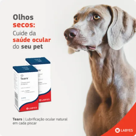 Labyes 6 Agência de Marketing e Publicidade - CMLO
