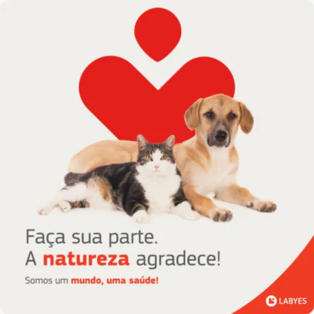 Labyes 5 Agência de Marketing e Publicidade - CMLO