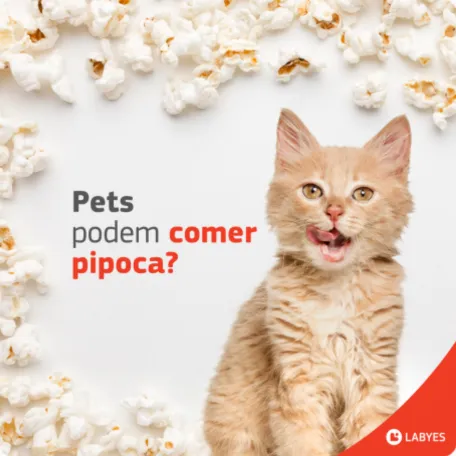 Labyes 9 Agência de Marketing e Publicidade - CMLO