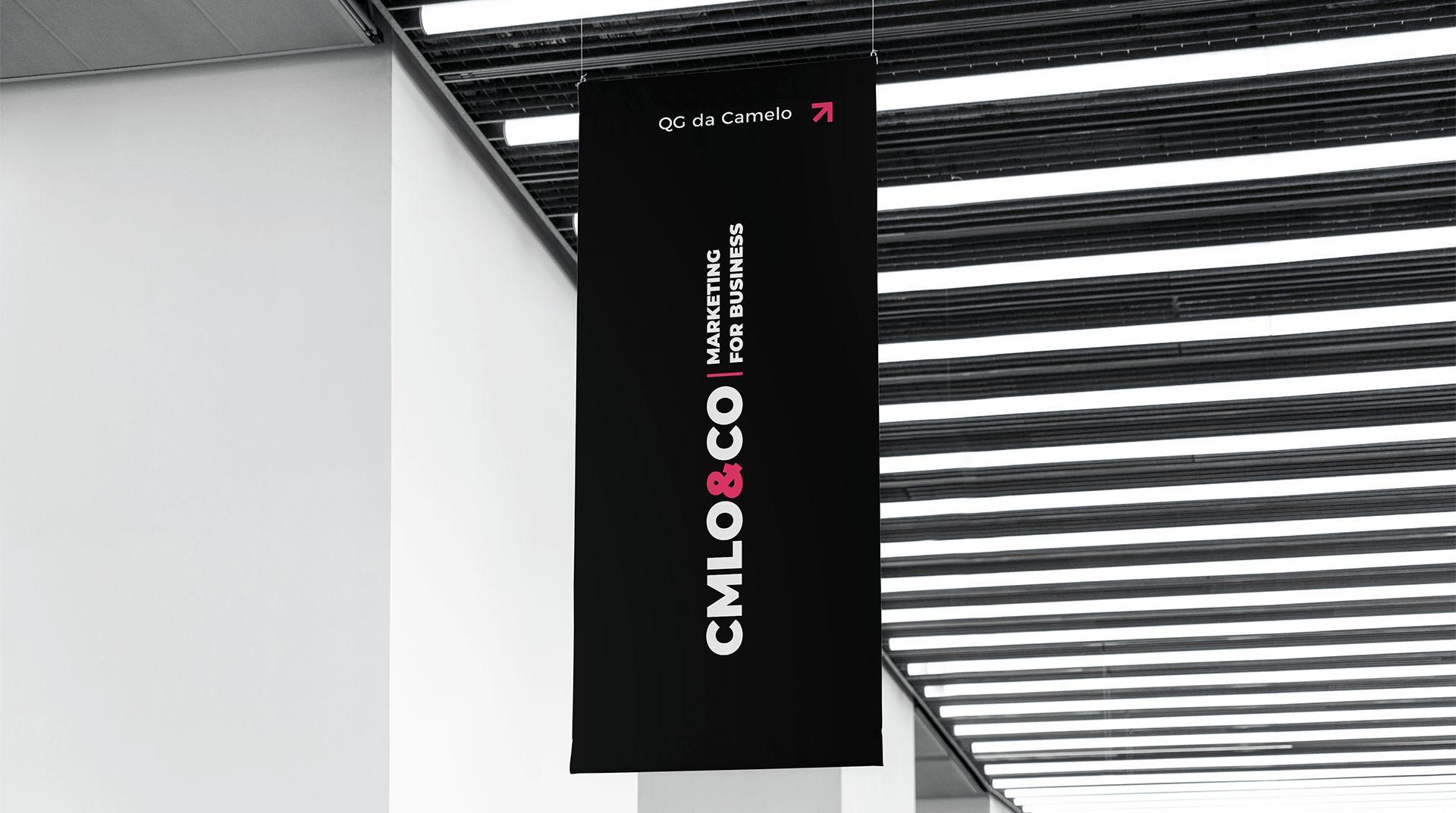 CMLO&CO 5 Agência de Marketing e Publicidade - CMLO