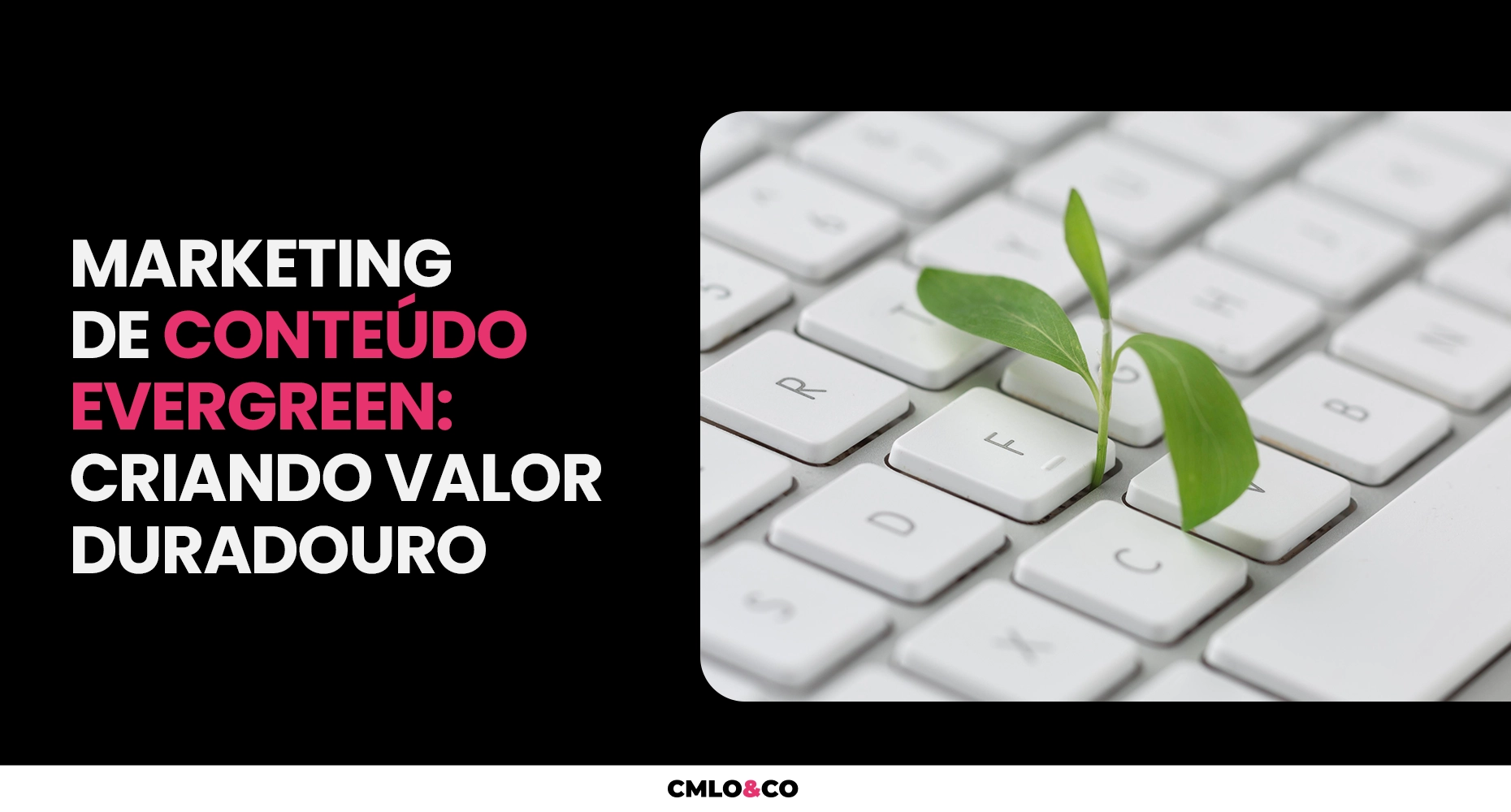 Marketing de Conteúdo Evergreen: Criando Valor Duradouro