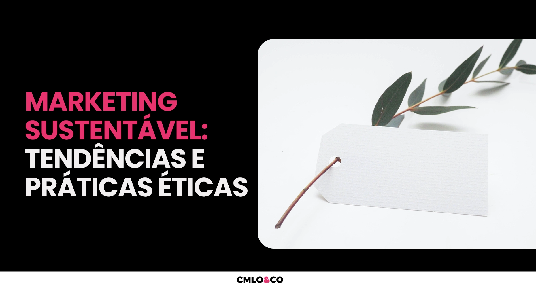 Marketing Sustentável: Tendências e Práticas Éticas