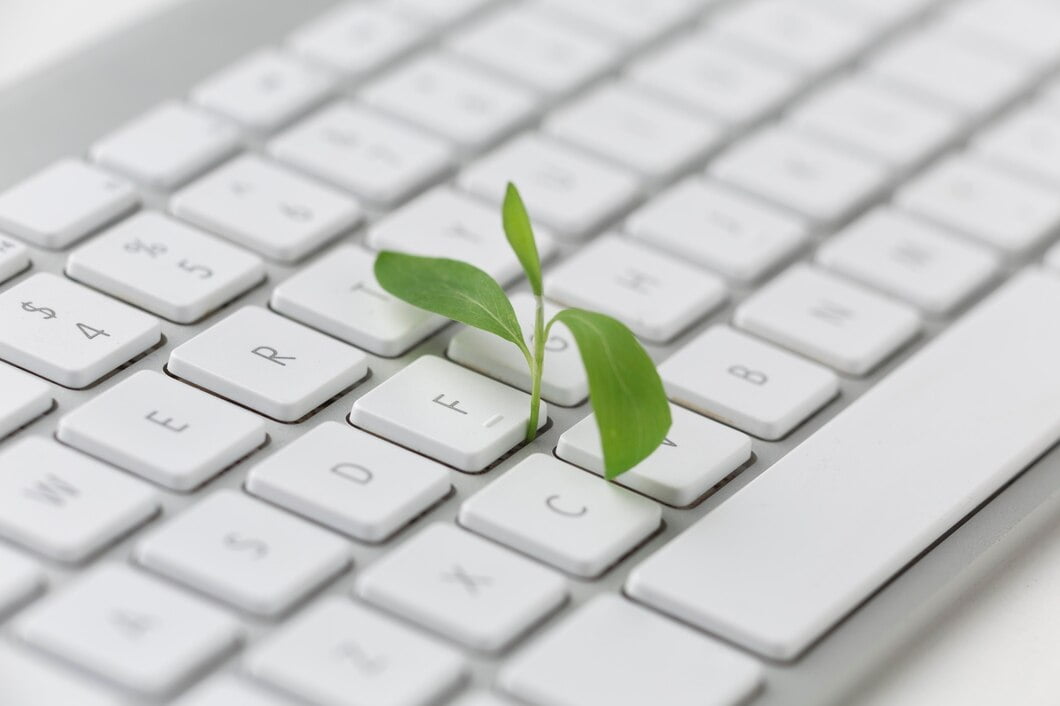 Teclado com planta pequena