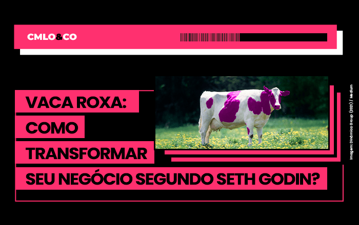 Vaca Roxa: como transformar seu negócio segundo Seth Godin?